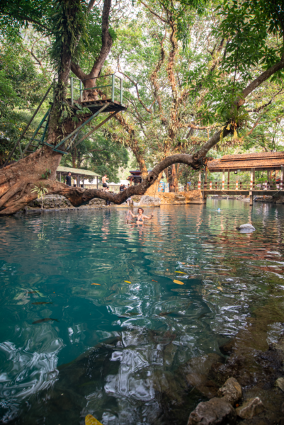 Admettons. Mais j'exige une piscine naturelle.